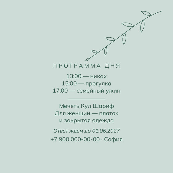 «Никах. Росчерк, зелёный и мята» чакыру үрнәге — арткы ягы