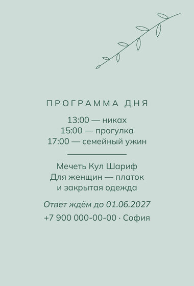 «Никах. Росчерк, зелёный и мята» чакыру үрнәге — арткы ягы