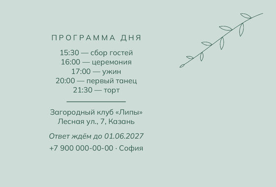 «Туй. Росчерк, зелёный и мята» чакыру үрнәге — арткы ягы
