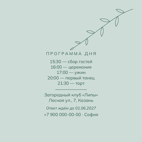 «Туй. Росчерк, зелёный и мята» чакыру үрнәге — арткы ягы